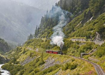 Tren en paraje verde