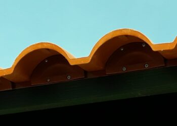 Conoce cómo funciona un cierre antipájaros para tejados