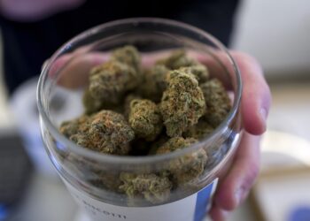 maihuana legal