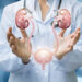 Cuáles son los mejores medios para tratar el tumor prostático