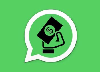 whatsApp premium