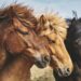 Las mejores razas de caballos del mundo