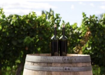 Aspectos clave en la producción del vino que toda bodega debe conocer
