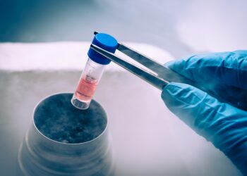 Células madre: Un impresionante poder regenerativo