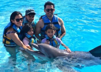 Delfines en Cancún