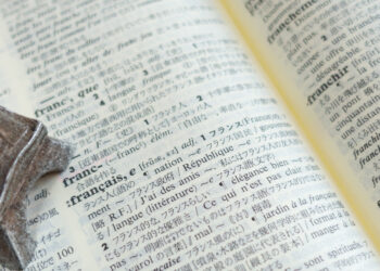 expresiones idiomáticas en francés