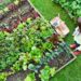 Cómo elegir los mejores productos de jardinería para tu hogar