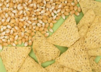 Conoce algunas recetas mexicanas deliciosas y sencillas de preparar en casa