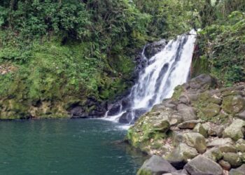 Oaxaca: destino ideal para vacacionar en familia o en pareja y también para trabajar