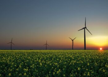 El papel de las energías renovables en la lucha contra el cambio climático