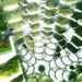 La agricultura vertical: innovación revolucionaria para el futuro de la agricultura