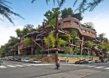 Guía definitiva sobre la importancia de la arquitectura verde