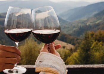 Descubre los mejores secretos de los vinos del mundo
