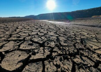 La importancia de las reservas naturales amenazadas y cómo protegerlas