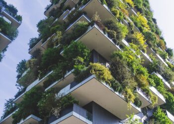 Diseño sostenible: El camino hacia un futuro más verde
