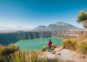 Las Mejores Plataformas para Freelancers en México: Guía Definitiva 2022