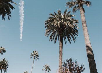 Descubre cómo se refieren los Españoles a los Latinoamericanos: Guía Completa y Actualizada