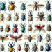 Guía Completa de 2022: Descubre los Diversos Tipos y Especies de Escarabajos