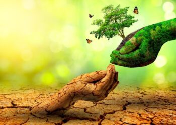 El papel de los avales en la gestión de riesgos ecológicos