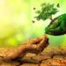 El papel de los avales en la gestión de riesgos ecológicos