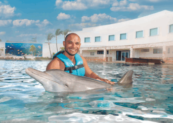 Nadar con delfines en Cancún: una experiencia única en la zona hotelera