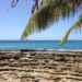 Vivir el caribe desde el mar el crucero que transforma tus vacaciones en una experiencia sensorial