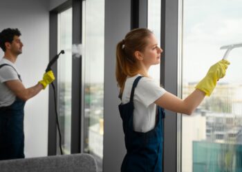 Limpieza de ventanas profesional con Domestina