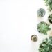 Plantas de interior decoración hogar verde tendencias interiorismo