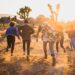 Planes de fin de semana con amigos que incluyen adrenalina y buena mesa